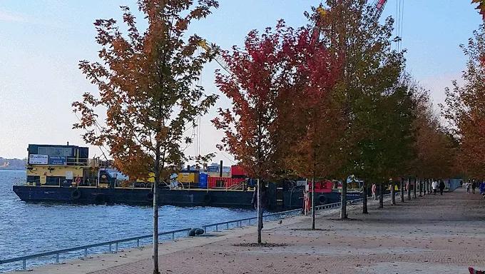 15 MERCHANTS' WHARF, Toronto, 0 , 0 ,0,Restaurant,For Sale,MERCHANTS' WHARF,0,1213